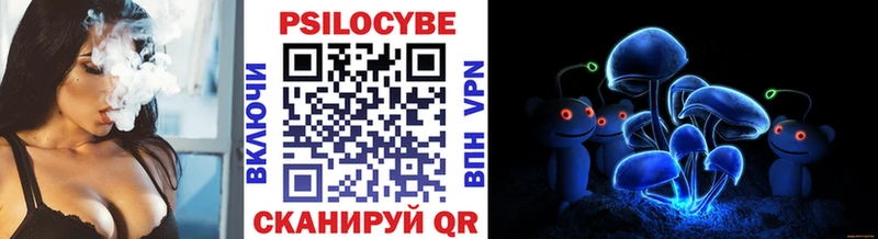 купить наркотики цена Борзя Галлюциногенные грибы Cubensis