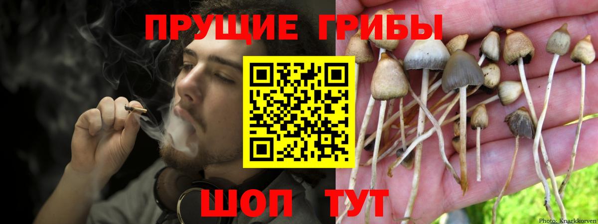 Галлюциногенные грибы мицелий  Вход с VPN  Борзя 