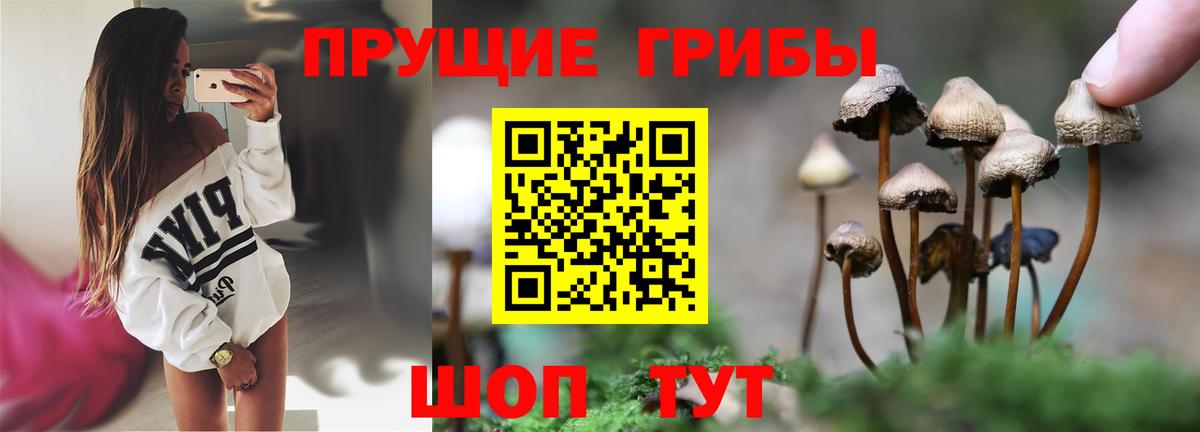 Псилоцибиновые грибы Magic Shrooms Борзя