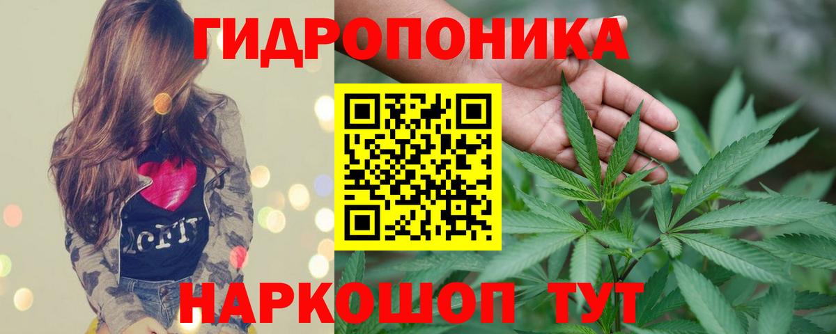 Бошки Шишки Ganja  Канабис план  Борзя  Шишки марихуана гибрид  Вход с VPN 
